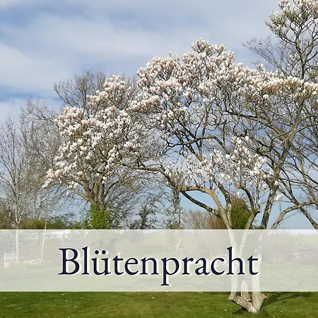 Hirschfeld Hus Whg 2