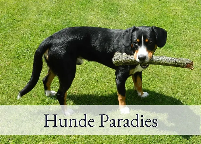 Hirschfeld Hus Whg 2 * Sulsdorf auf Fehmarn