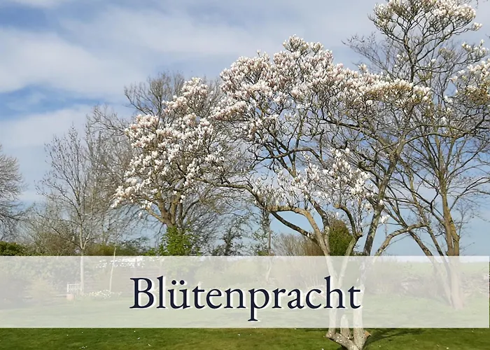 Hirschfeld Hus Whg 2